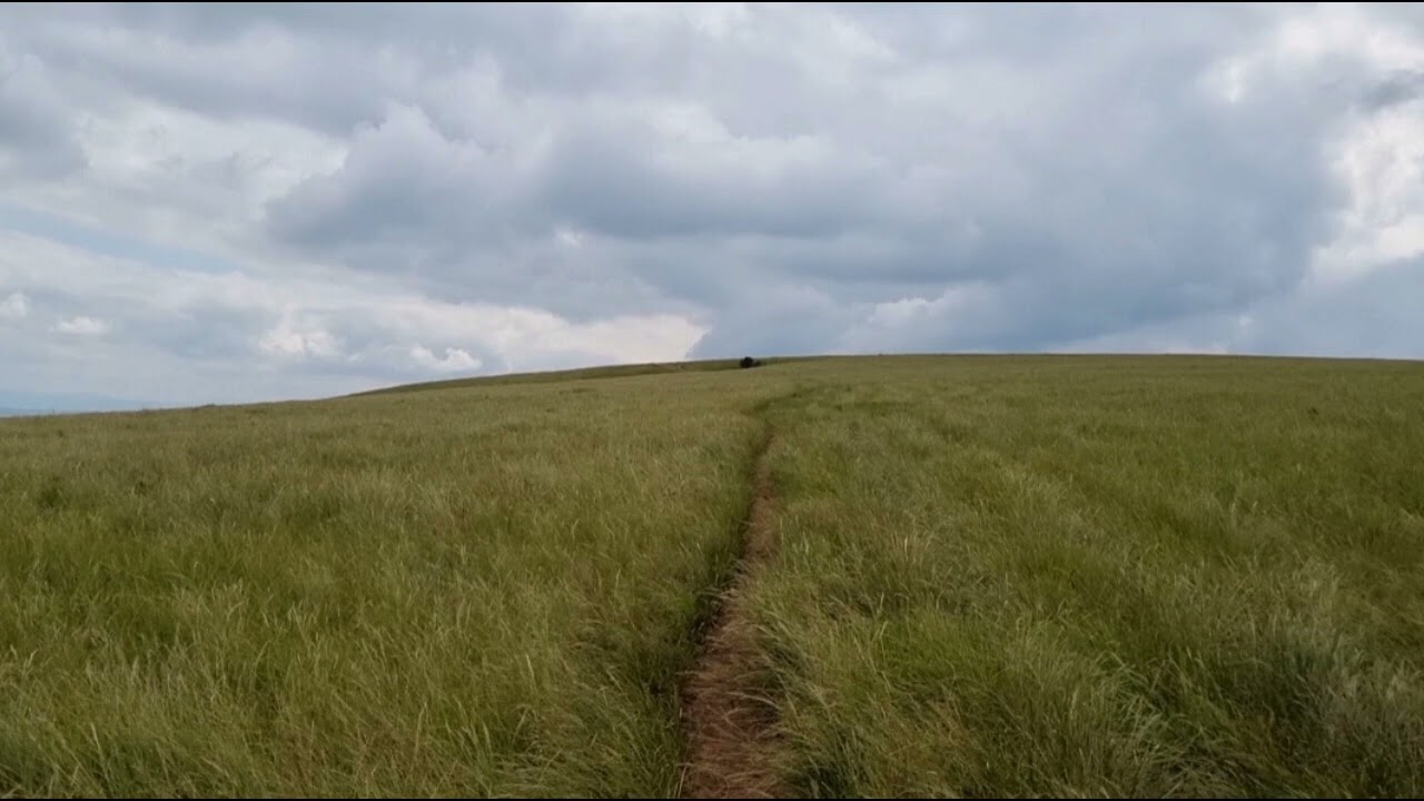 Nzuza/Dlozi Child🐍🧜🏾‍♀️🧜🏾‍♂️🐆Consultations, Astral projection, healing, Amagobongo, Clothing, Gobela