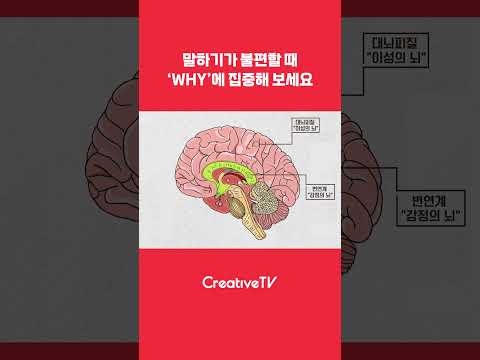 #shorts 회의, 발표, 보고... 불안감 떨쳐내는 첫 번째 단계는