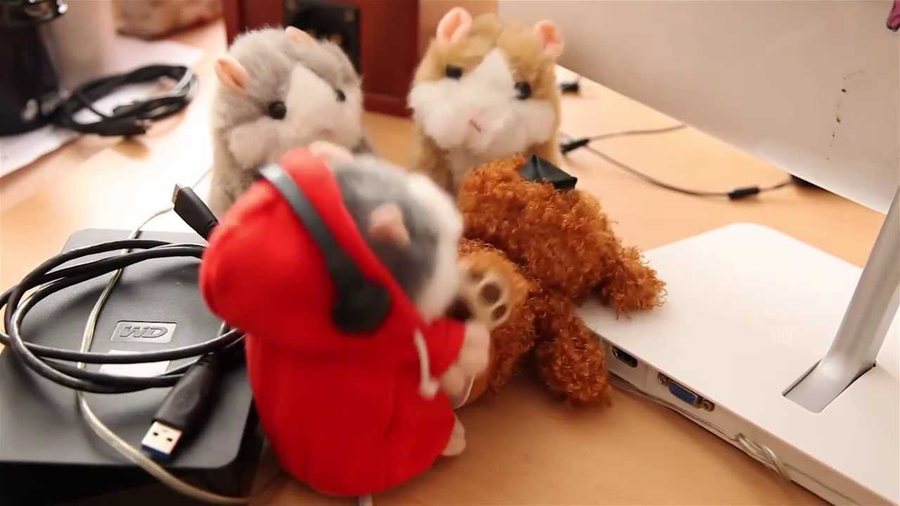 Смотреть порно хомячки