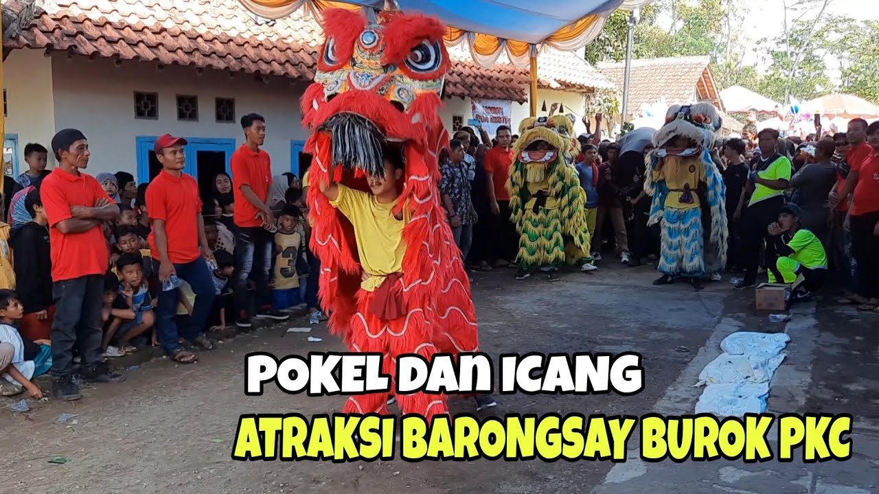 Kakange blenger [ Atraksi barongsay ] ❗️ Burok putra kencana ciledug - live desa kalimanggis
