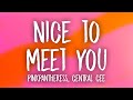 PinkPantheress - Nice to meet you (feat. Central Cee) Lyrics