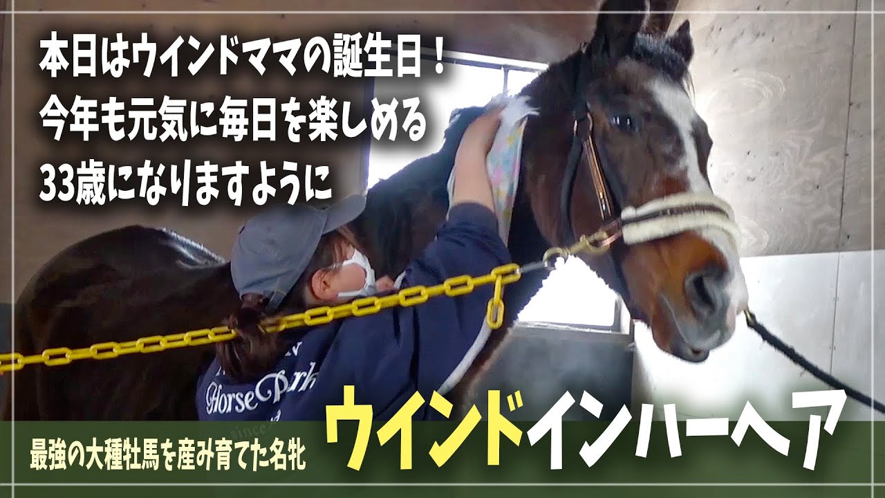 【ウインドインハーヘア】33歳の誕生日おめでとう♪洗い場がウインド母さんの美しさの秘訣