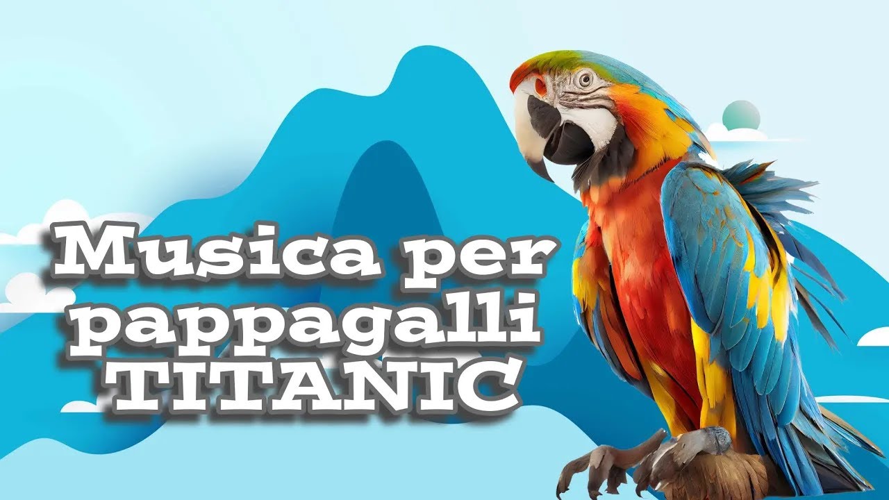 Musica per pappagalli | TITANIC | Fischio per training pappagallo