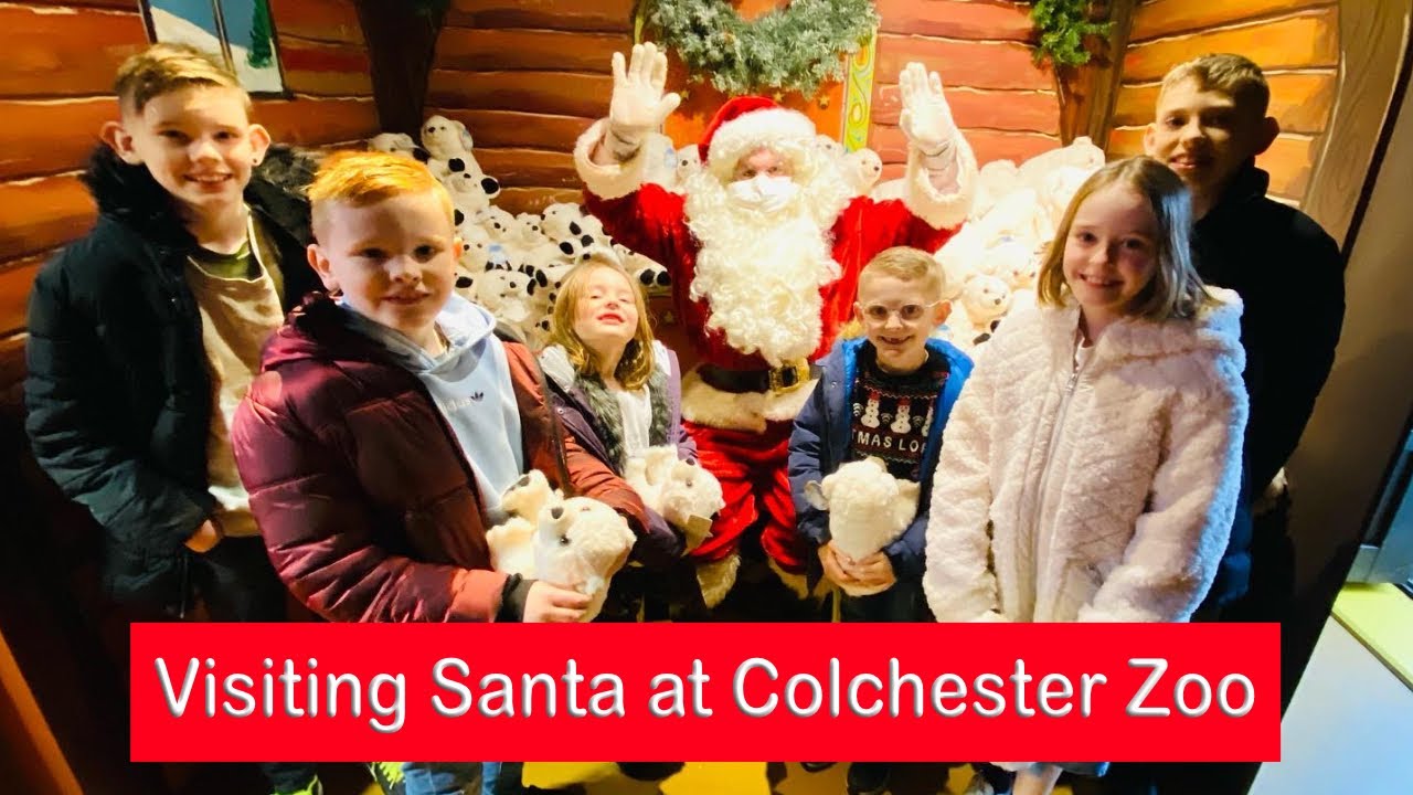 visit santa colchester zoo