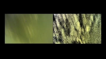 Diver in Port: Demonstration of Lolaark Vision