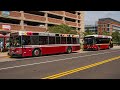 University Of Maryland SHUTTLE UM OLD DIESELS &amp; BRAND NEW BUSES In College Park Maryland 