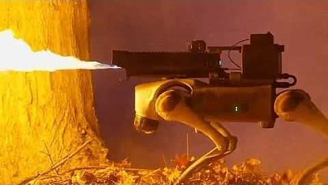 Thermonator: A Flamethrower-Wielding Robot Dog