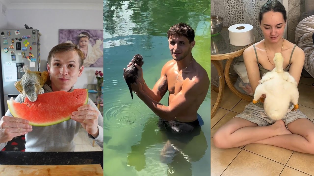 Love between humans and animals#lovestory #animals #wildliferescue #wildlife #cute #funny #love