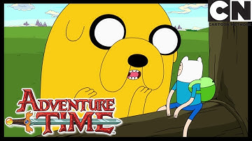 Up A Tree | Adventure Time | Cartoon Network