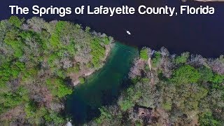 Florida Travel: Explore the Springs of Lafayette County