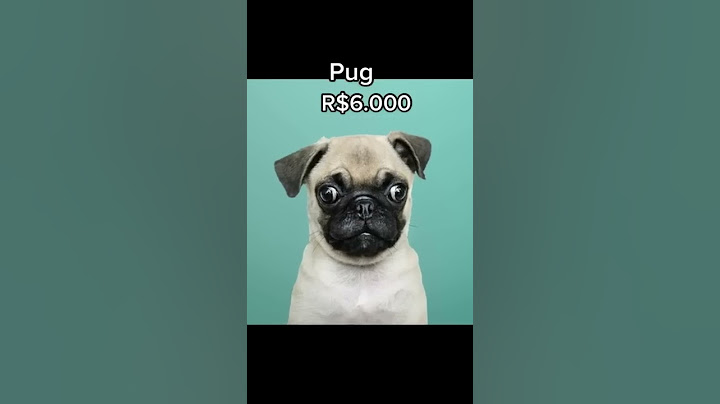 THESE ARE THE 8 MOST EXPENSIVE DOGS IN THE WORLD AND THEIR PRICES #shorts