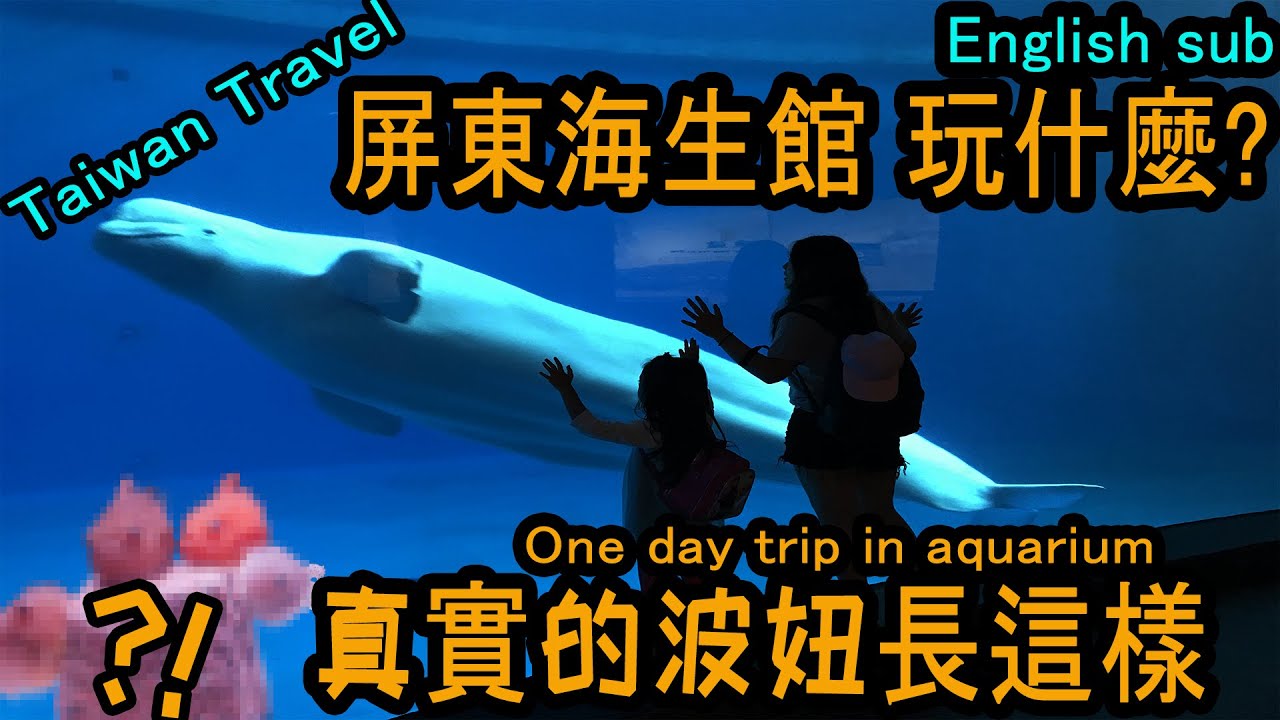 屏東 海生館一日遊尋找真實波妞 尼莫 屏東海洋生物博物館taiwanaquarium Youtube