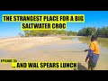 Huge black crocodile and spearing with a traditional owner in remote australia