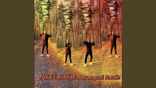 Tyliai Leidžias Pavargusi Saulė