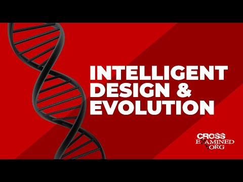 Video: Forskellen Mellem Evolution Og Kreationisme