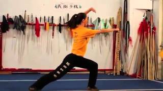 Kung Fu Wushu Tutorial - 5 Basic Stances.mp4