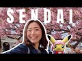 Sendai Cherry Blossoms 🌸 Spring Walk & Pokemon Hunt #japanlivewalk #sendai