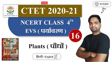 Target CTET 2020-21 | NCERT EVS ( Environment ) Class 4th By DK Gupta | Plants ( Plants )