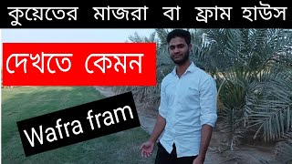 Kuwait Wafra fram house tour.মাজরা কেমন দেখতে হয়।