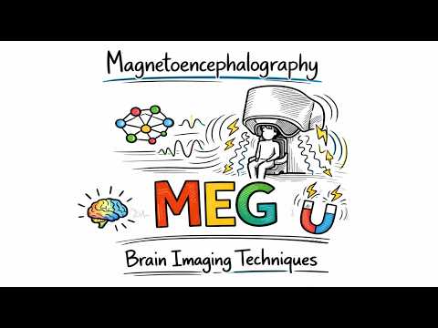 Magnetoencephalography Explained (MEG Scan) | Brain Imaging Techniques