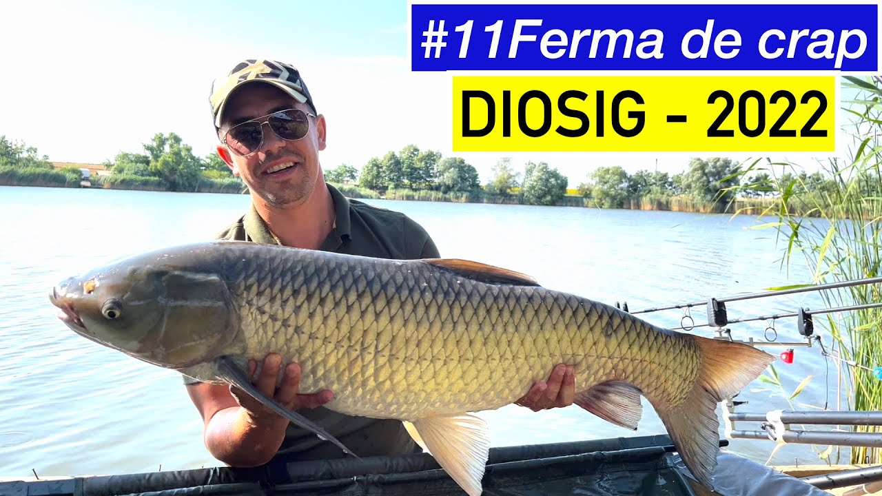 Ep.011 Pescuit la crap - Experiența noastra la Ferma de crap Diosig