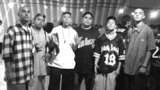 Tecolotes De Noche Fls