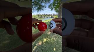 Bro Gave Me A Grass Type