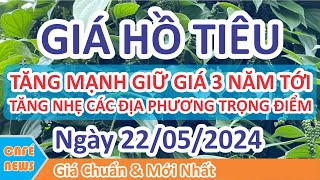 Giá hồ tiêu hôm nay ngày 22/05/2024 | giá tiêu TĂNG MẠNH GIỮ GIÁ TRONG VÒNG 3 NĂM TỚI