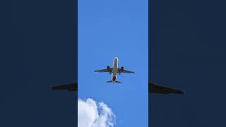 Avianca Airbus A320neo (N962AV) Flyover - 8K