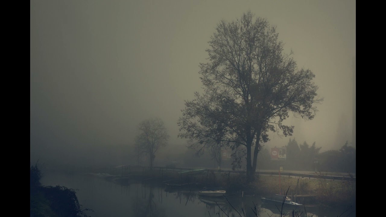 Djamm - Fishlife is boring