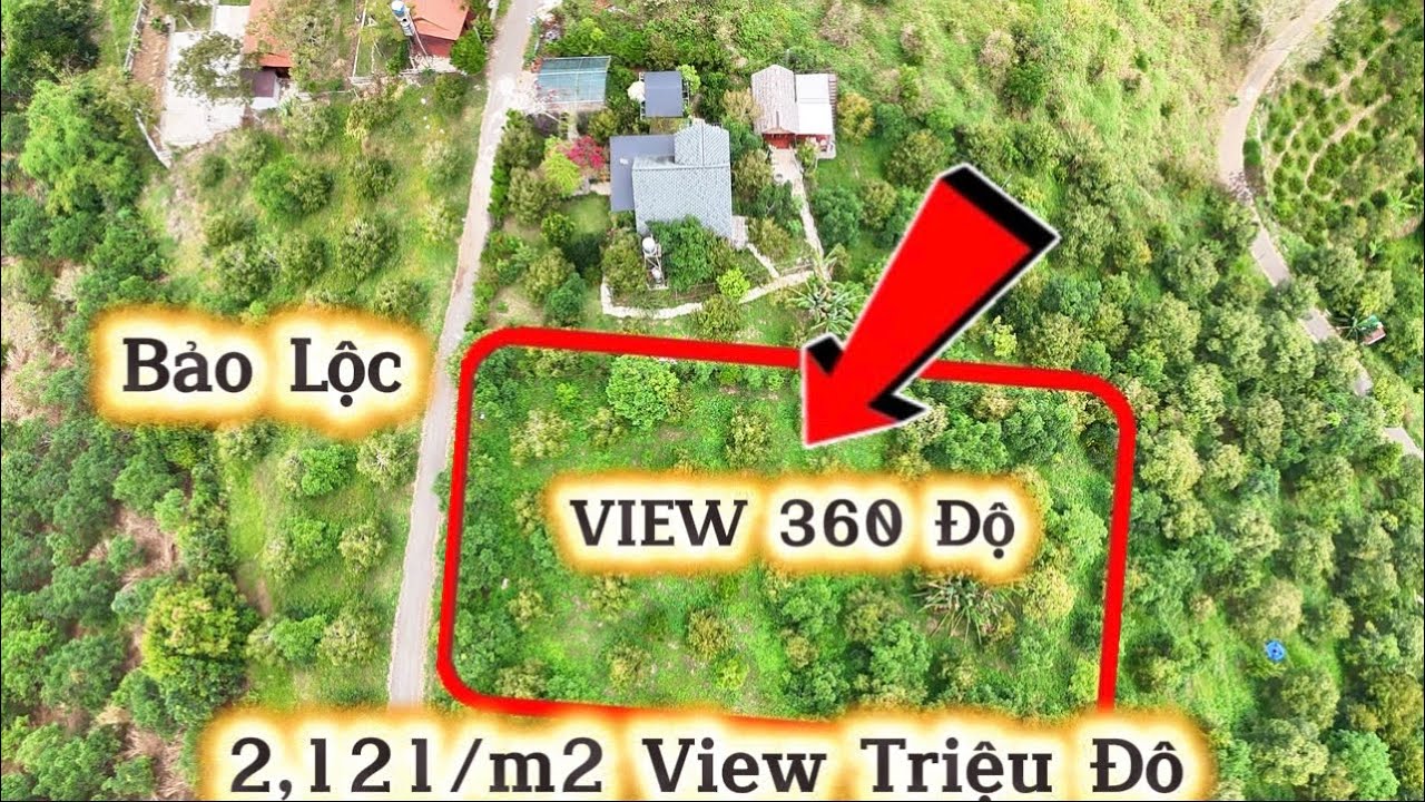 View Vườn Cây Trái Đường Nhựa Tại Xã Tân Lạc Bảo Lâm Đồng