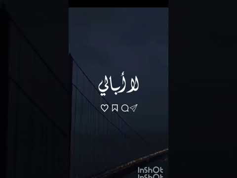 هائم في كل وادي عن يميني عن شمالي