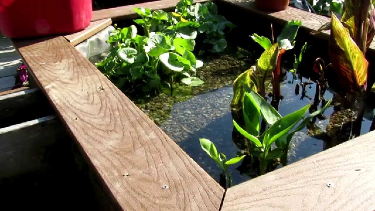 Pond Bog Filtration - YouTube