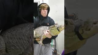 Download Lagu Danny Duncan wakes Kewon up with a surprise MP3