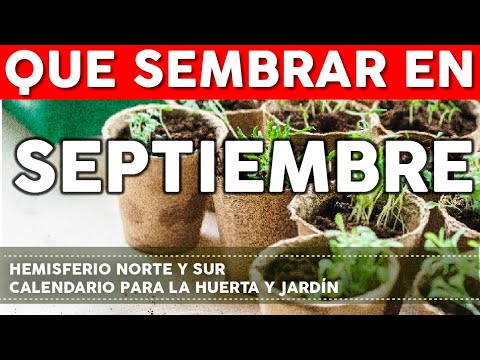 Video: Calendario de jardín estacional: aprenda sobre la plantación de Oregón en abril