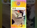 ما عرفت نضحك ولا نبكي    