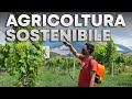 Trattamento con PROPOLI totalmente NATURALE