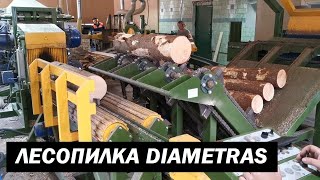 Линия лесопиления Diametras - SAWMILL LINE (video 1)