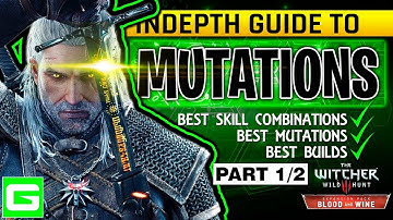 The Witcher 3 Blood & Wine New Mutation Skill System Full Explanation Build Guide Tutorial PART 1/2