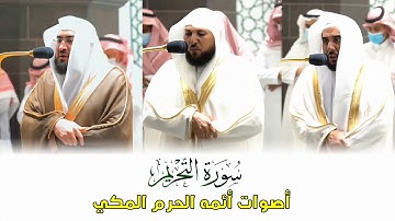 سورة التحريم من الحرم المكي تلاوة مجمعه لائمه الحرم المكي | المصحف المرئي