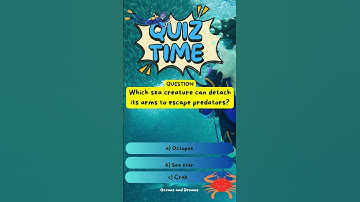 Quiz Time 2 #quiz #oceandiscovery #testyourknowledge #oceanmysteries #triviaquiz  #interestingfacts