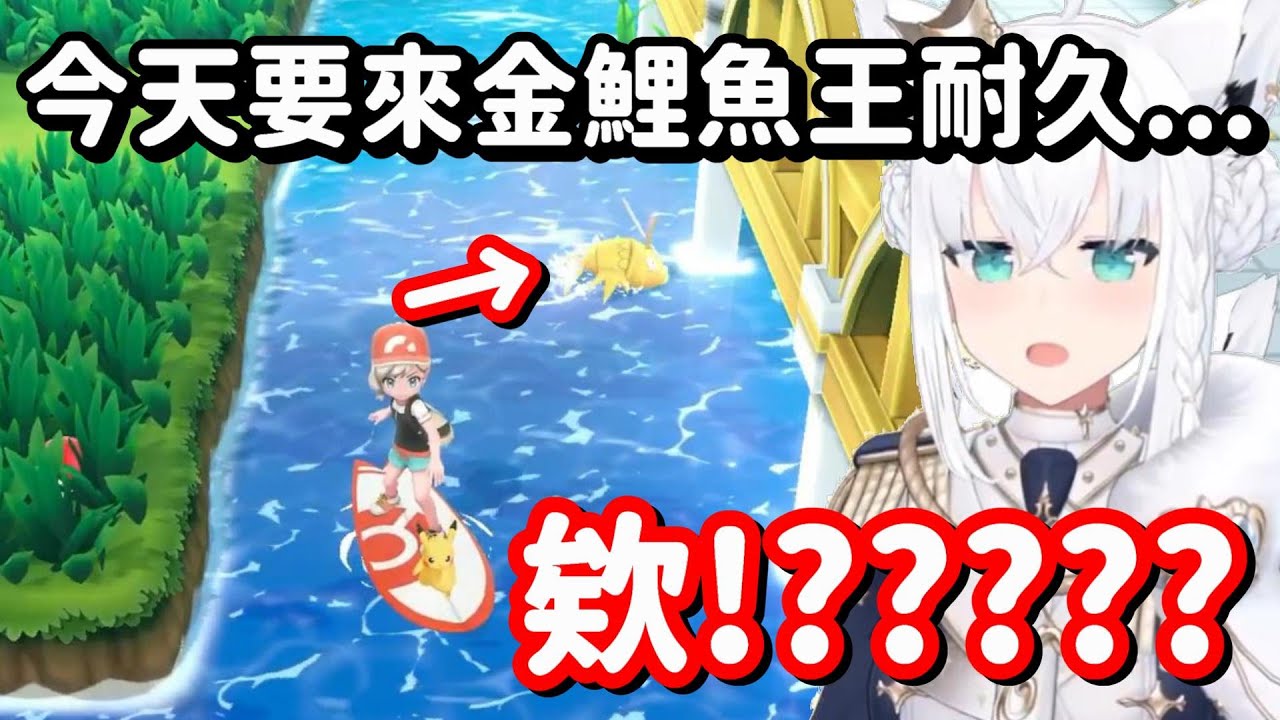 這好狐又要來釣金鯉魚王了嗎... 那麼這次又要釣多久... 啊 已經結束了嗎?【Hololive中文精華】【白上吹雪】