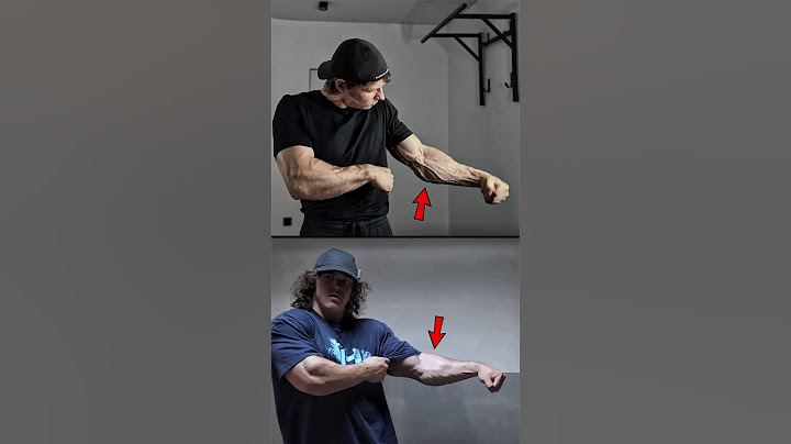 SAM SULEK Forearms Workout ❗️
