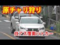 これは原チャリ狩り？第一通行帯を走ってないと一気にパトライトを上げ背後に付けて検挙する交機白アス覆面パトカー！　原チャリ独特ルール…通行区分違反