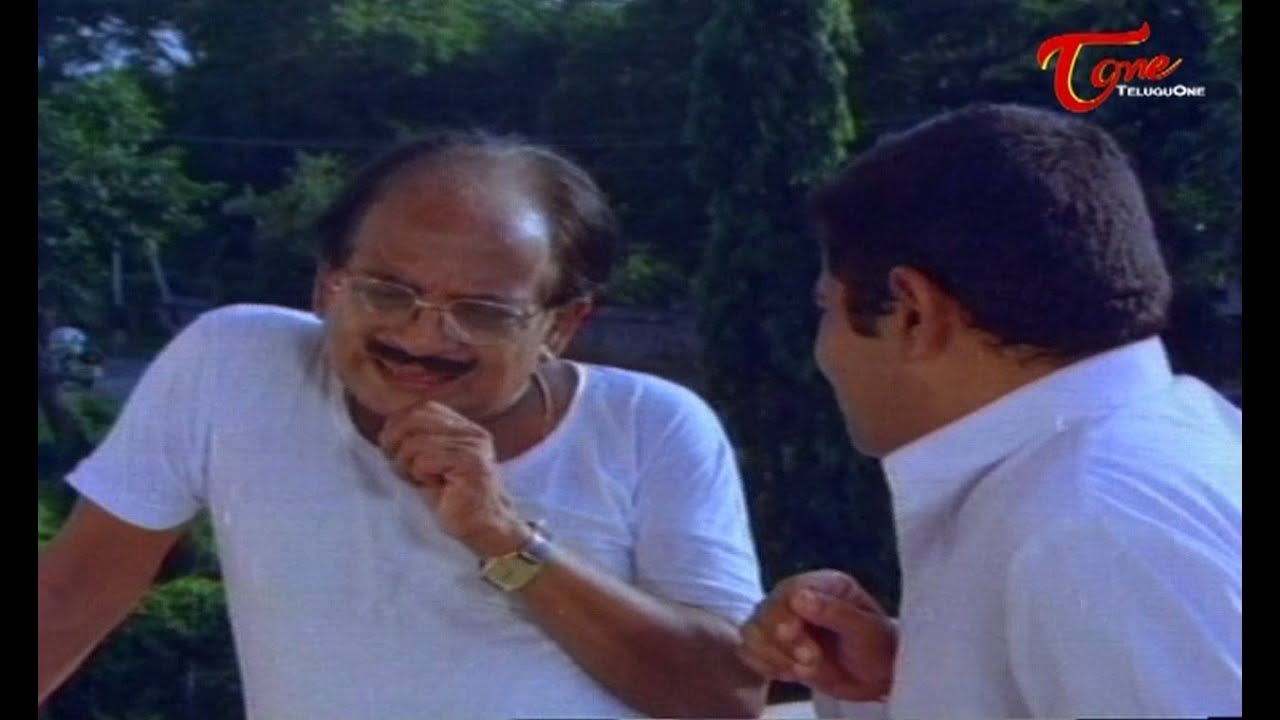 Rendu Jella Seetha Comedy Scene | Allu Ramalingaiah Speaking Funny Hindi