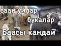 Озгон мал базары