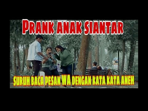 prank-indonesia!!-pesan-whatsapp-minta-dibaca-oleh-orang-yang-tdk-dikenal-dengan-pesan-lucu