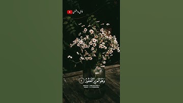 ارح سمعك بتلاوه عطره من سوره الملك🎧❤️‍🩹 #طمئن_قلبك #اكسبلور #قران_كريم #أرح_سمعك_وقلبك #لايك