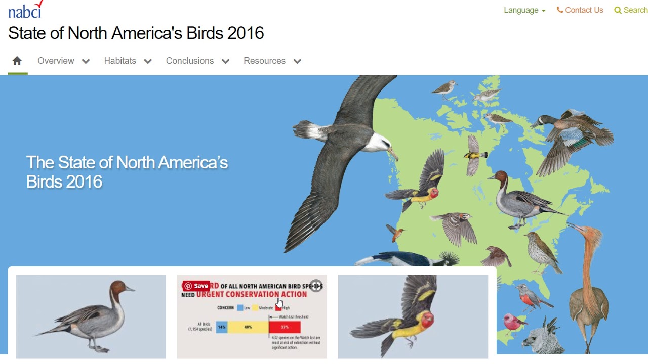 Screencast Cornell Ornithology Lab Scavenger Hunt YouTube screencast-cornell-ornithology-lab-scavenger-hunt-youtube