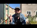 Flopped Two Big Product Manager Interviews (Cash App and Spacex Rejected Me)